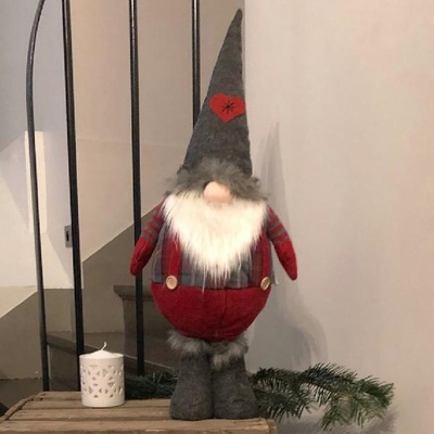 Ajoutez une dose de charme festif à vos événements avec nos gnomes de Noël en location. Ces adorables créatures apportent une touche ludique et magique à vos décorations.