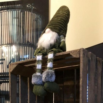 Ajoutez une dose de charme festif à vos événements avec nos gnomes de Noël en location. Ces adorables créatures apportent une touche ludique et magique à vos décorations.