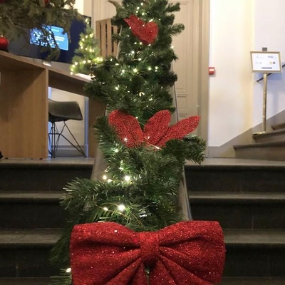 Transformez votre espace événementiel en un paysage hivernal enchanteur avec notre guirlande de sapin artificiel en location.