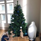Location - Transformez vos événements en moments magiques avec notre sapin artificiel en location. Réalisme saisissant, installation facile, personnalisation sans limite. 